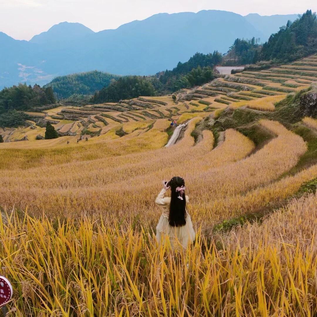 🎀LOVE🎀（勿连赞）