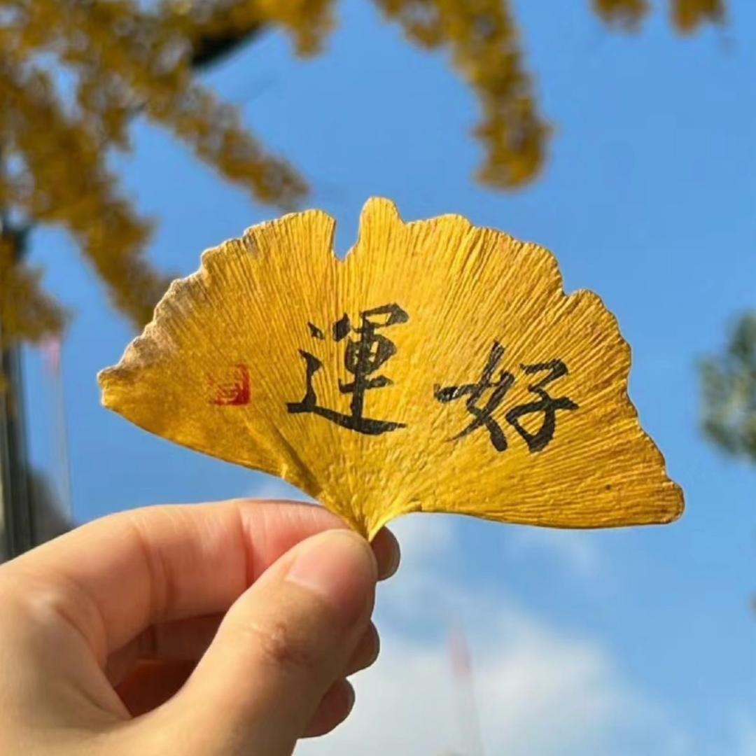 柒六捌优选