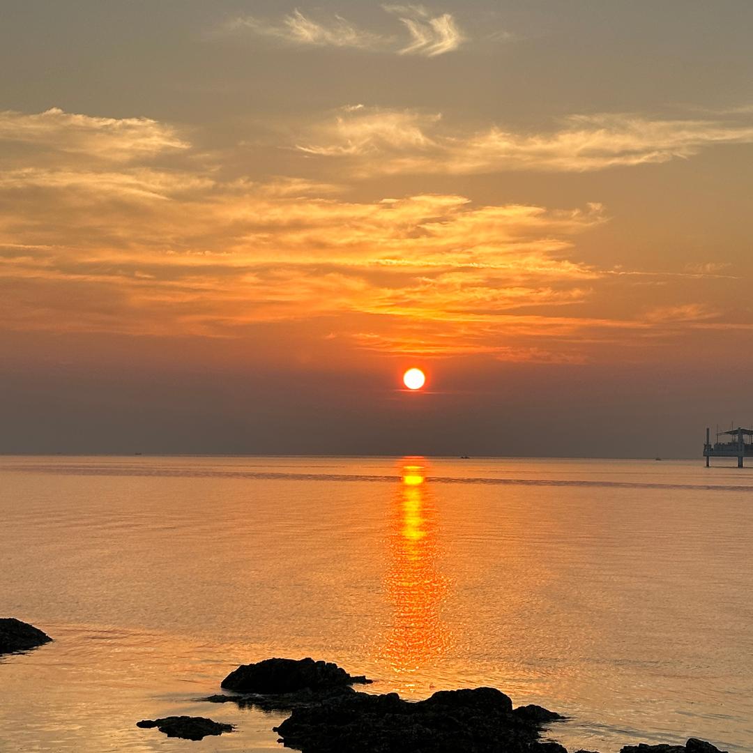 人生若只如初见