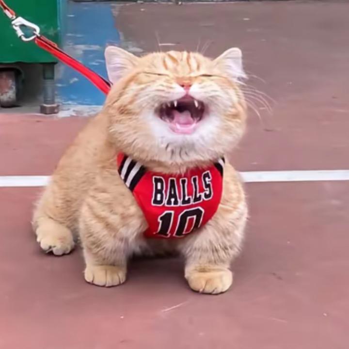 一加一不等于二.