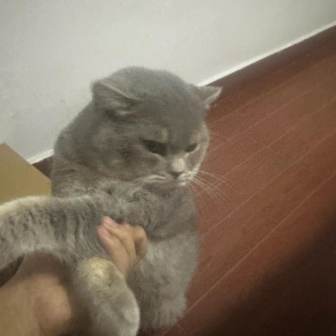 串串很乖
