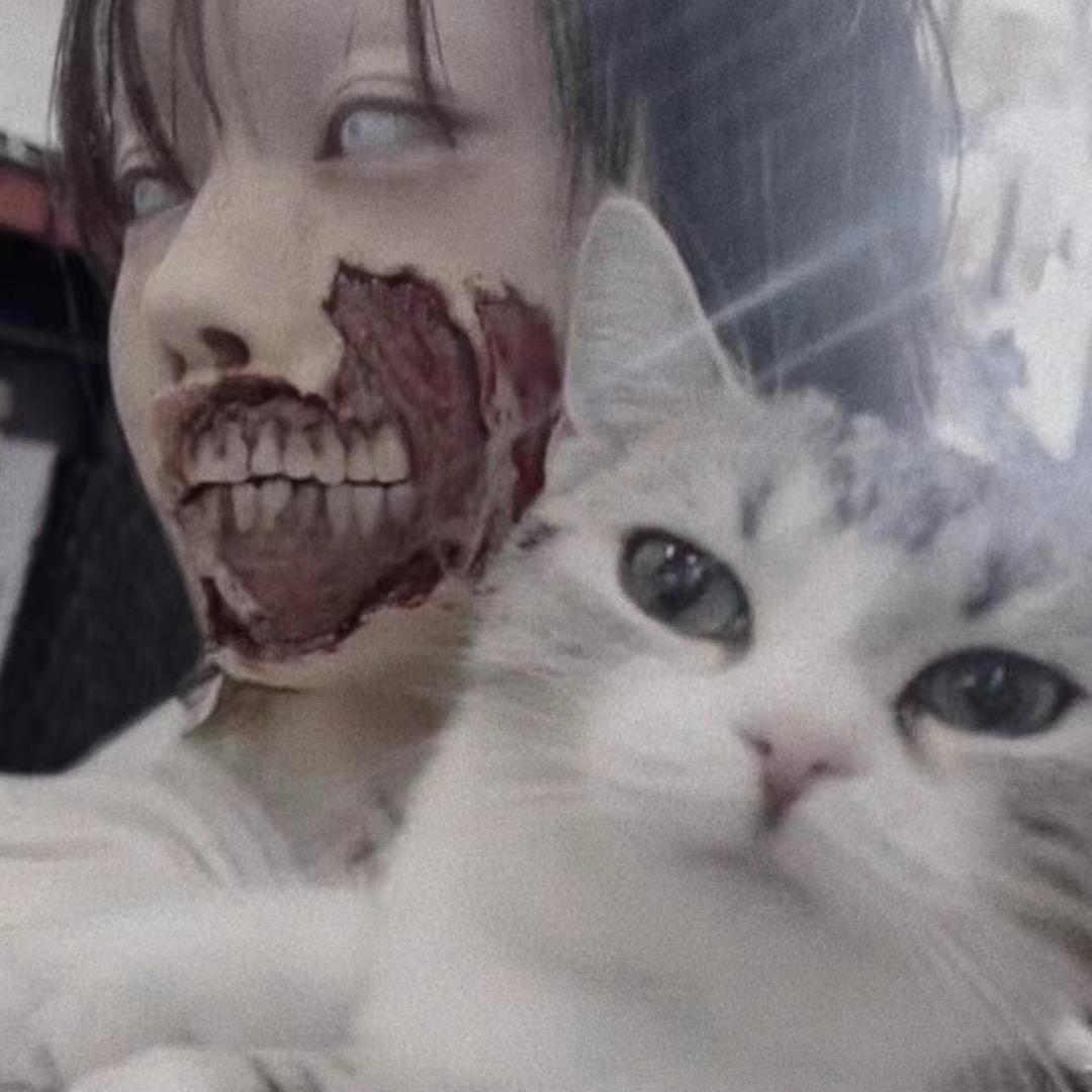 猫不见了哦