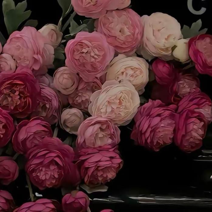 梦里樊花🌸