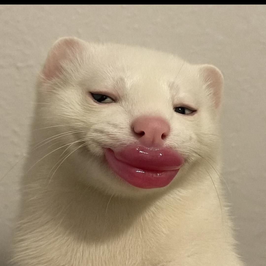 渣渣猜