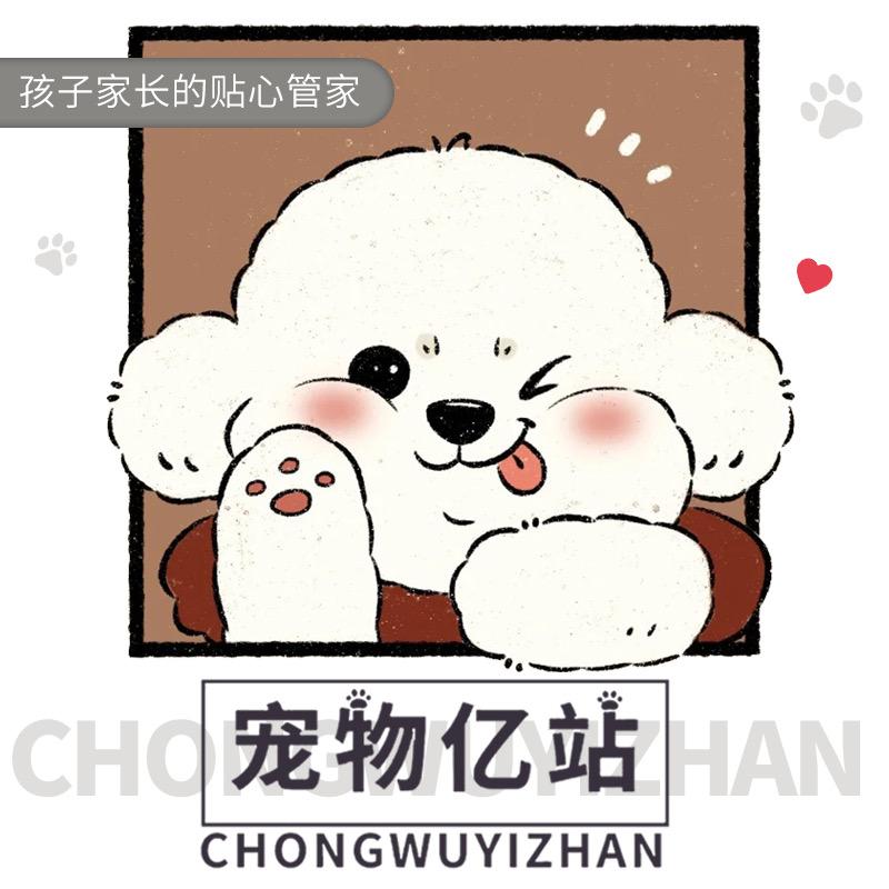 宠物亿站小诸葛.宠物店运营官