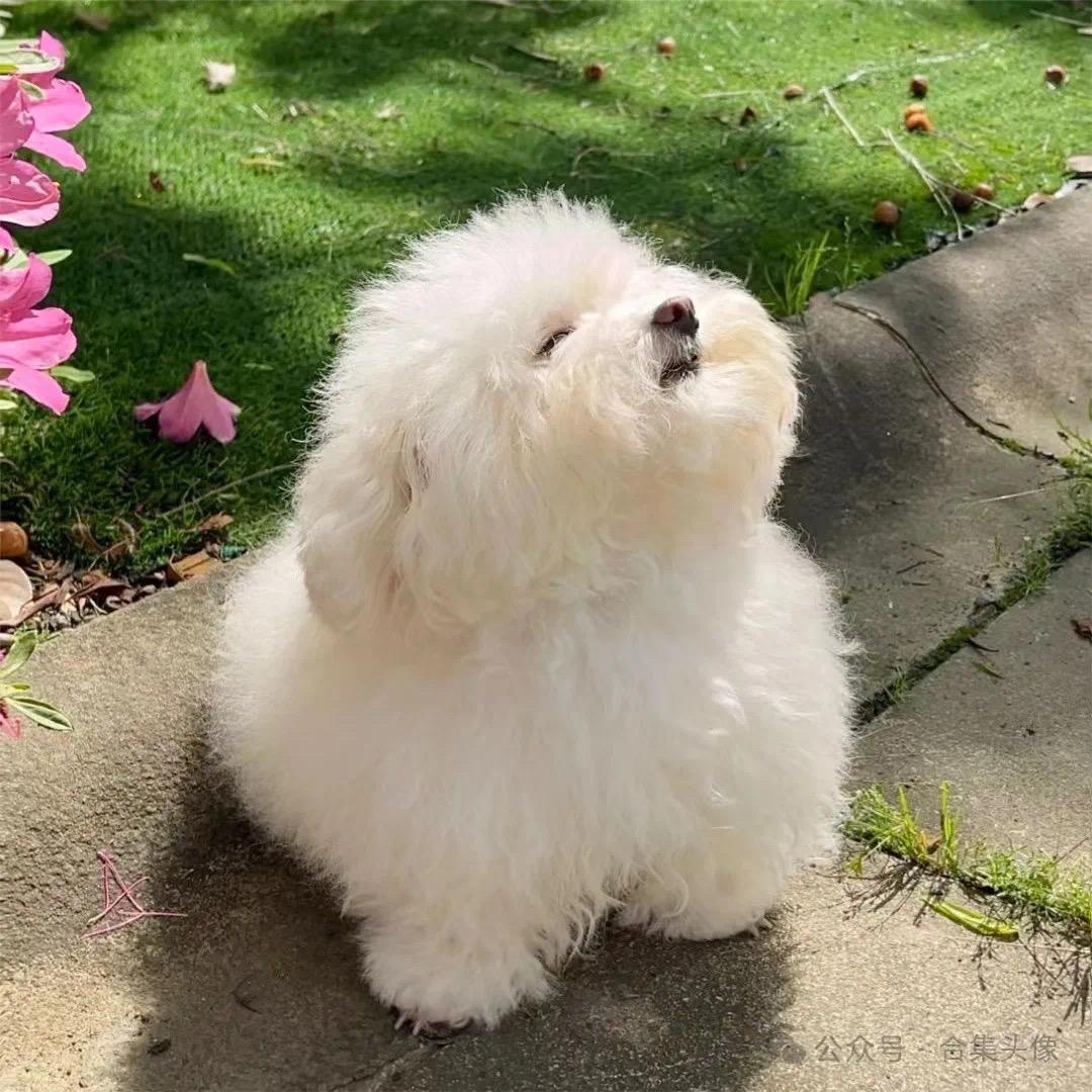 不远