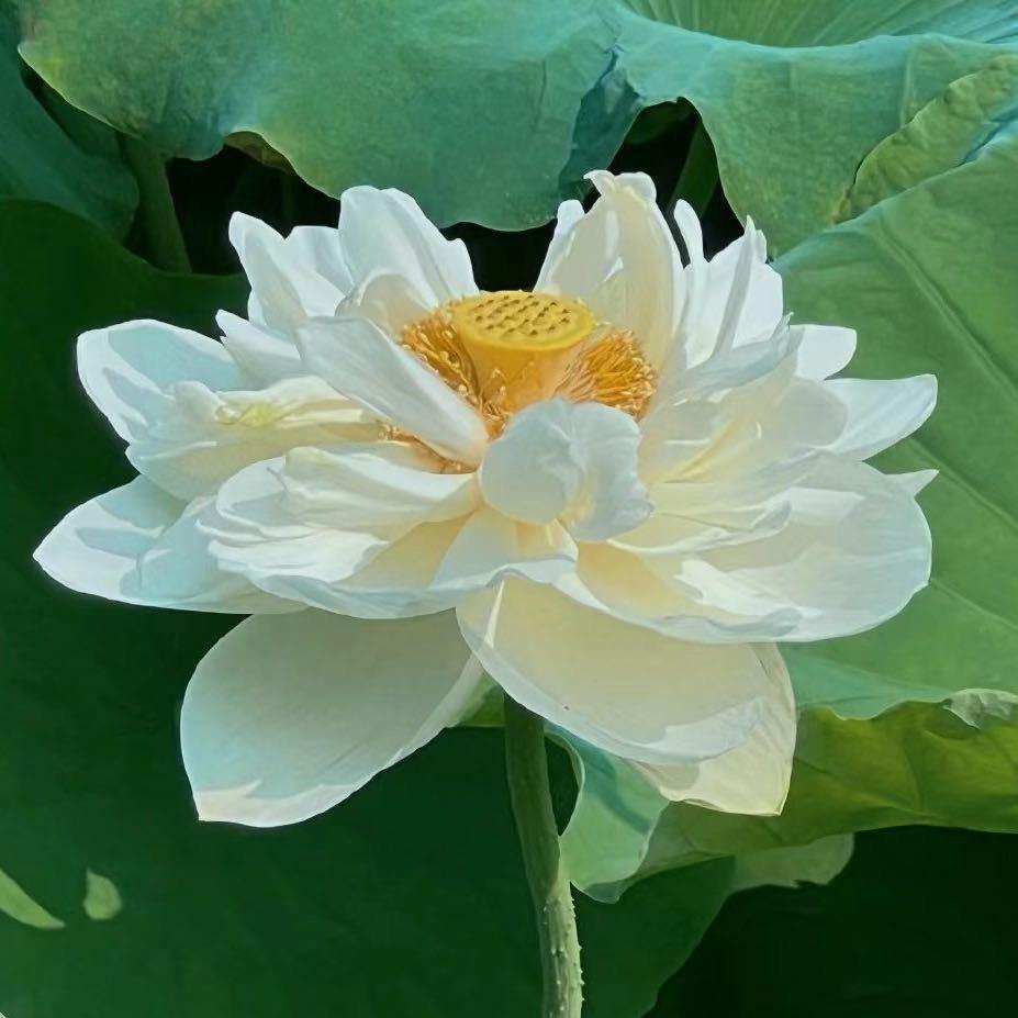 饿困累
