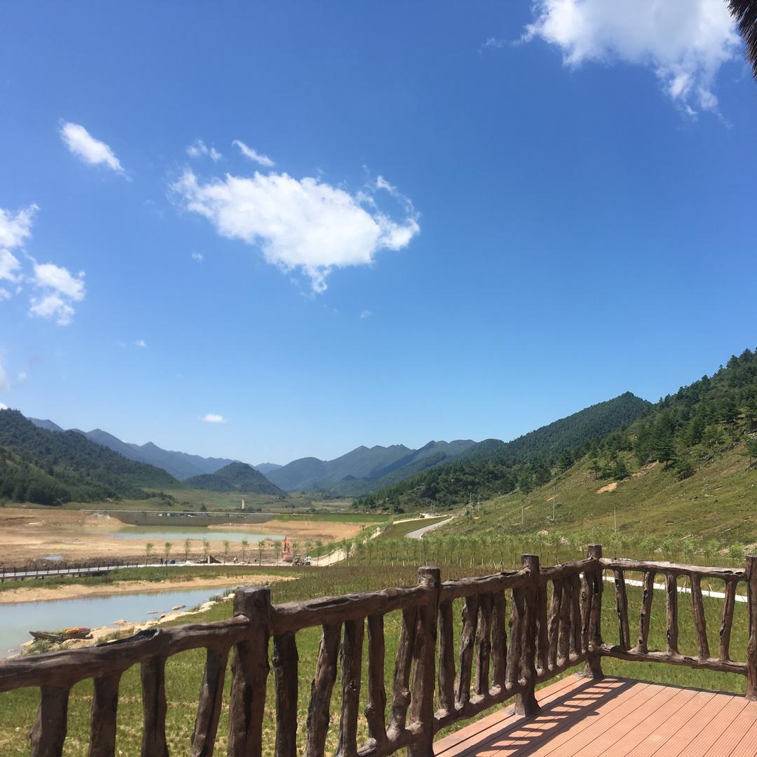 正直林
