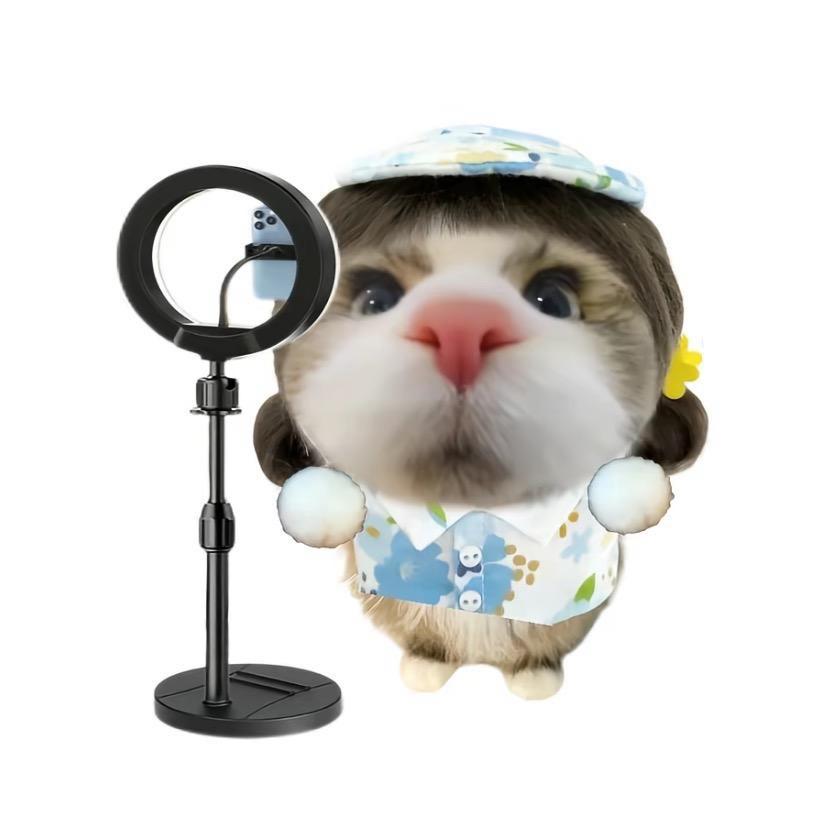 小陶火火ASMR