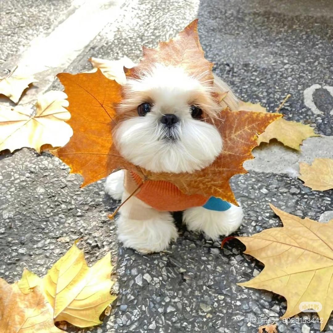 自律的潮男🌟❤️‍🔥