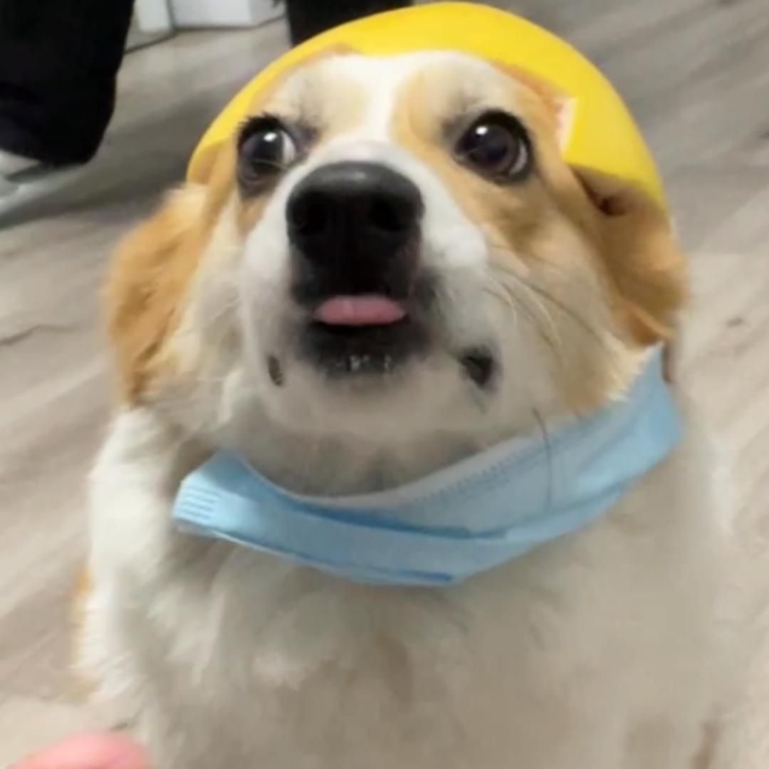 有你好果汁吃