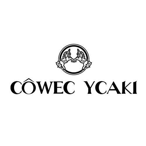 CYWE保定法港商贸有限公司箱包专卖店