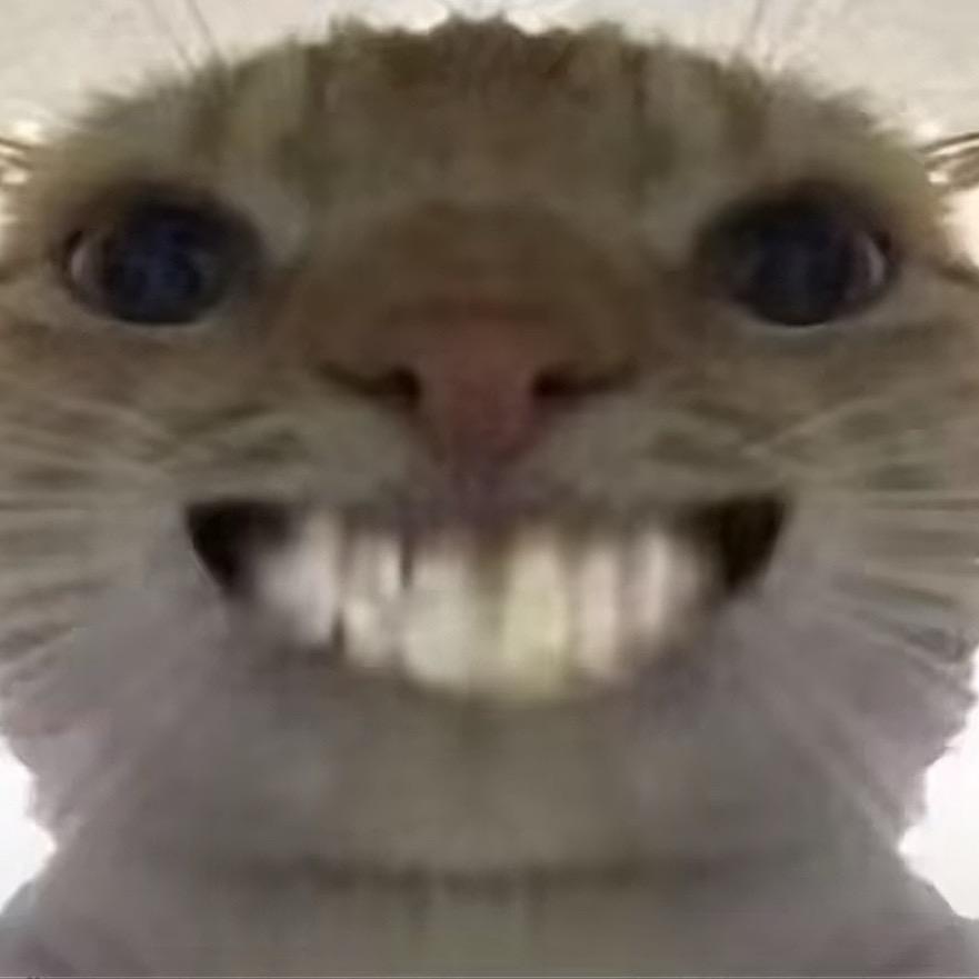 夕阳（三角洲行动）