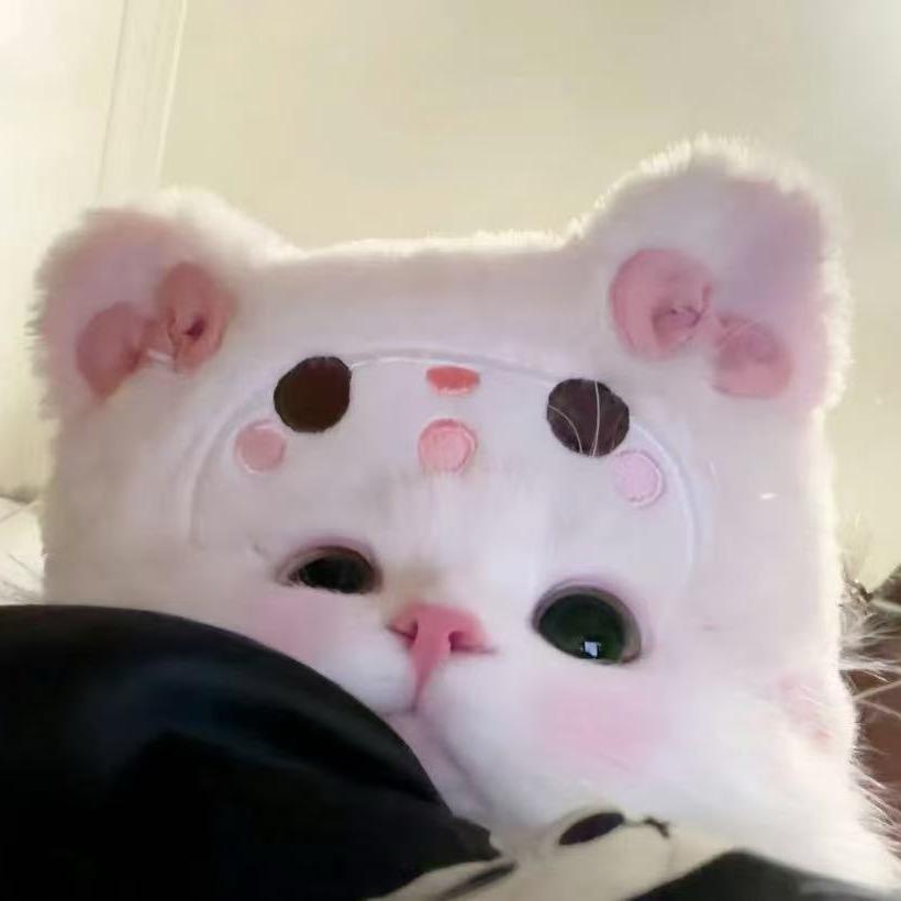 土豆丝