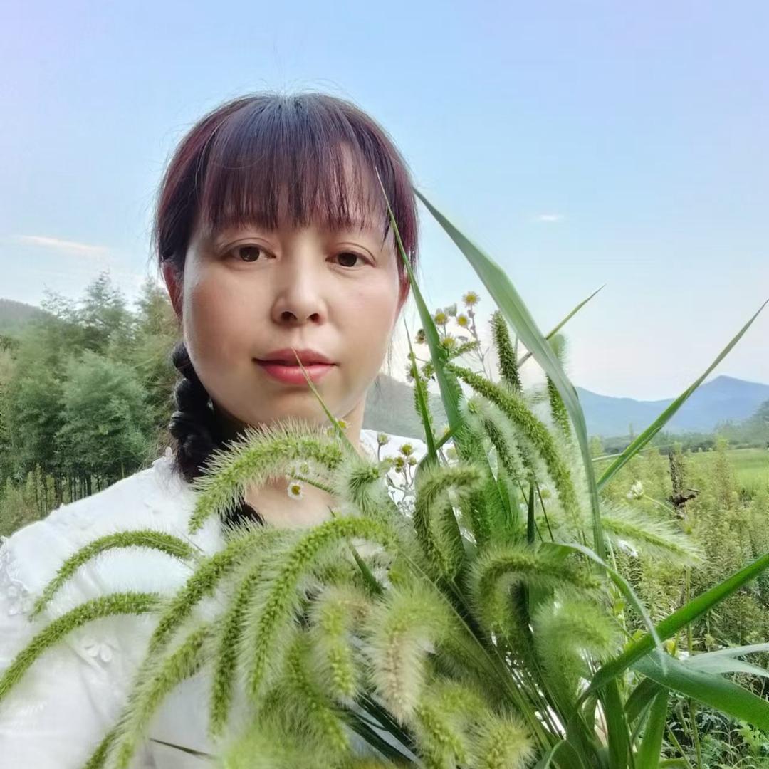 三姐弟的绿植世界