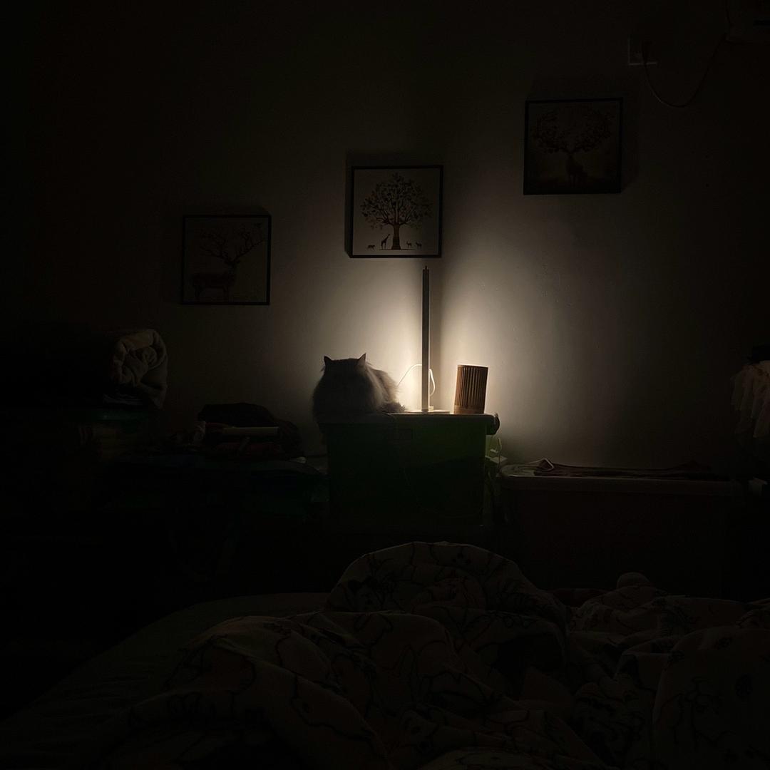 走马