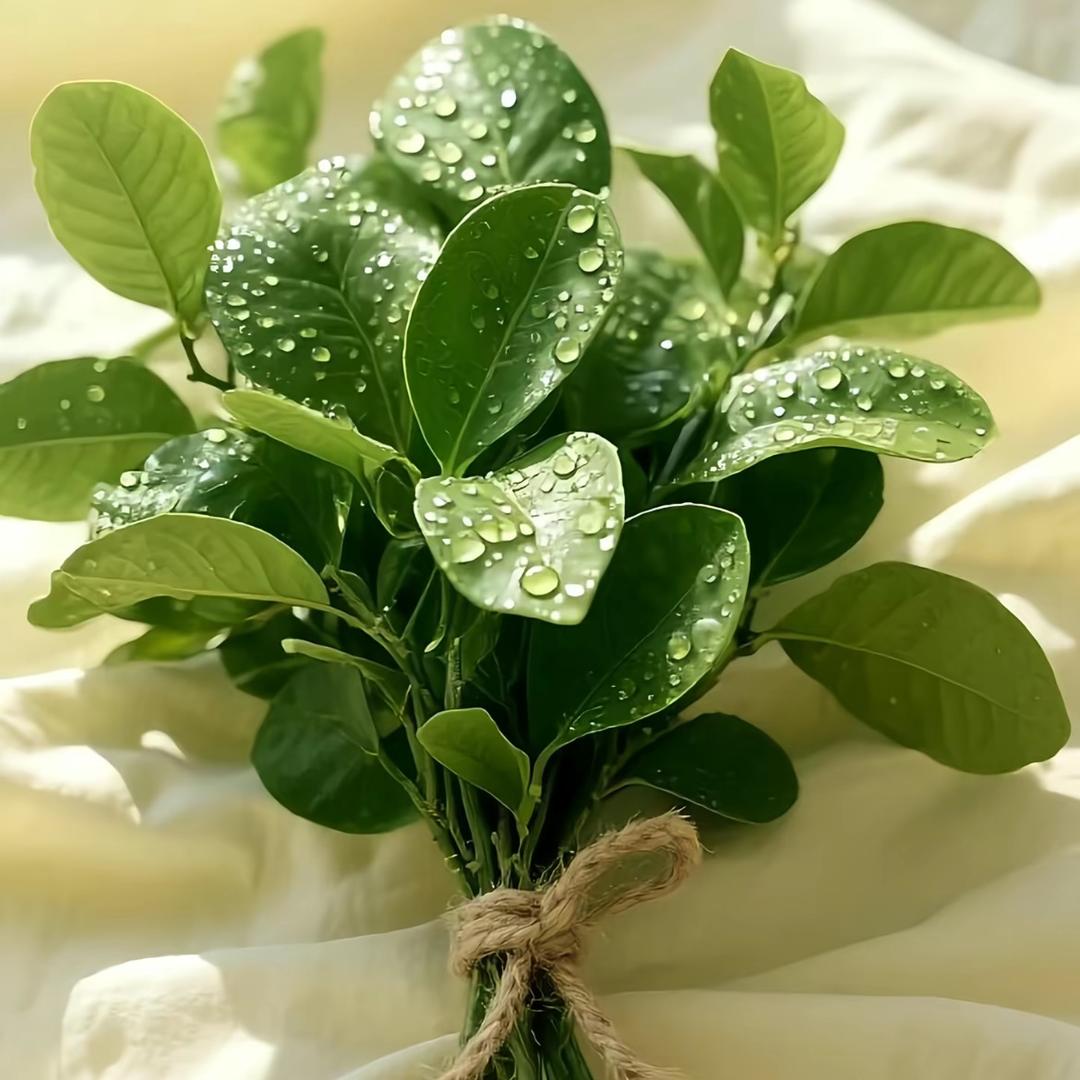 ATM💵💵💵💵y