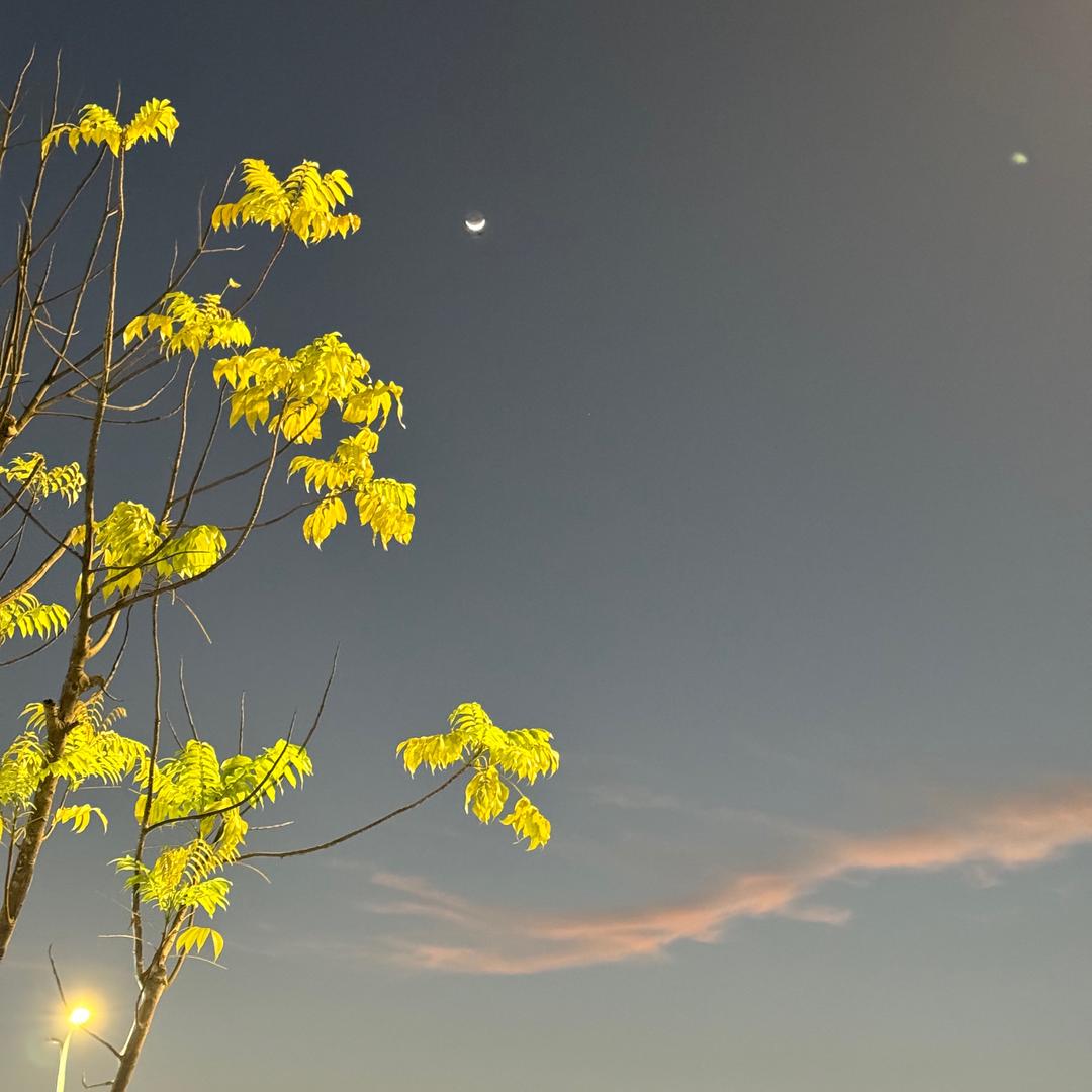 花财～～