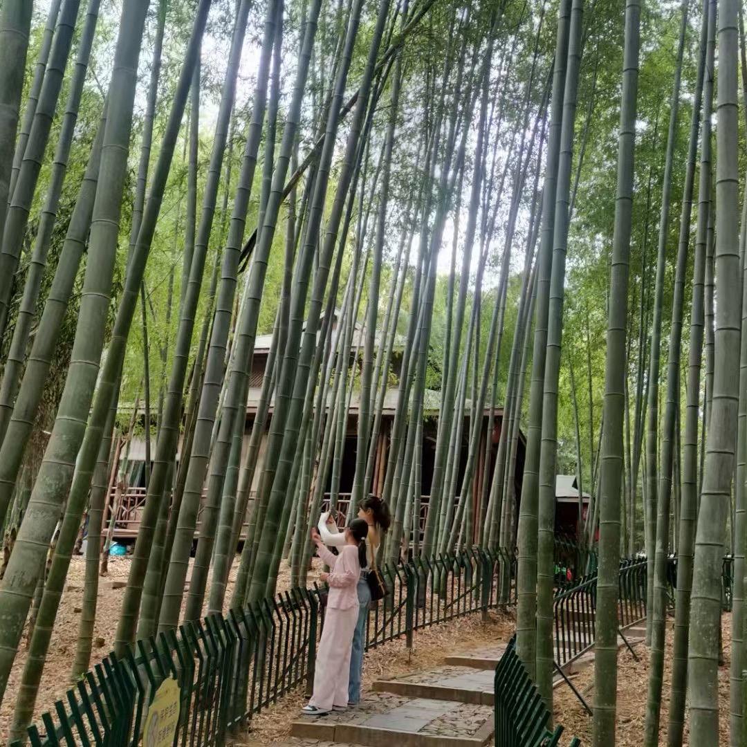 @倩倩