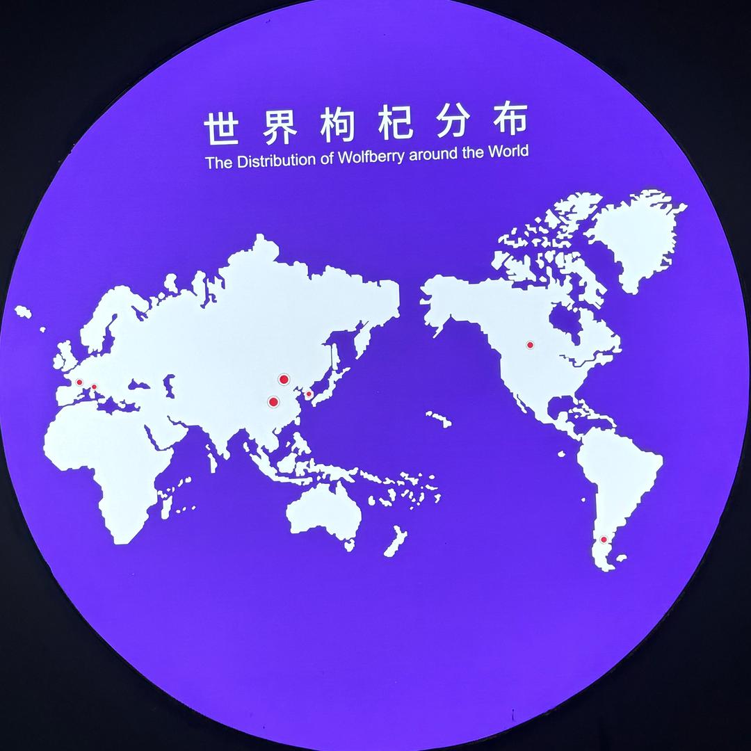 宁嘉红