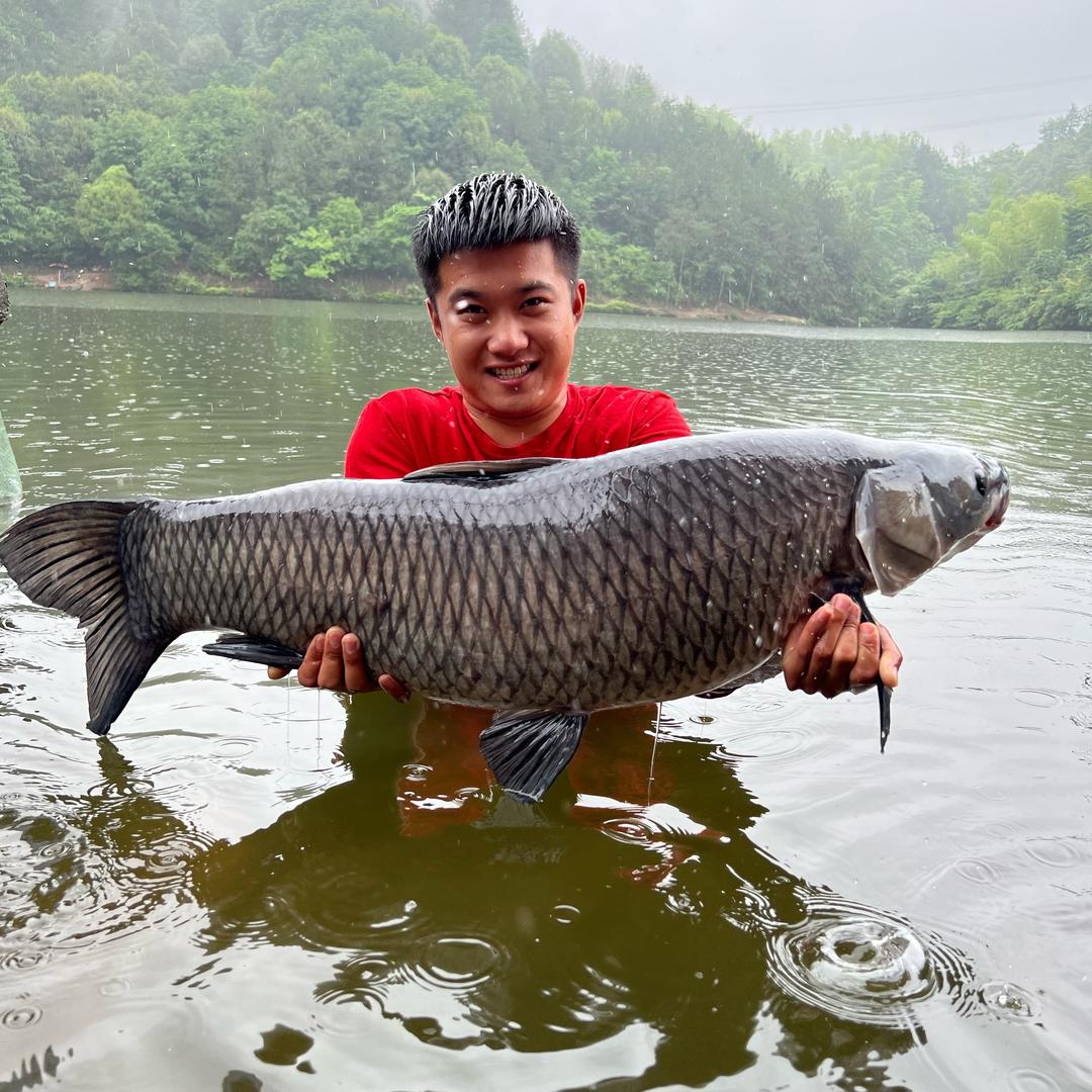 小山东钓鱼