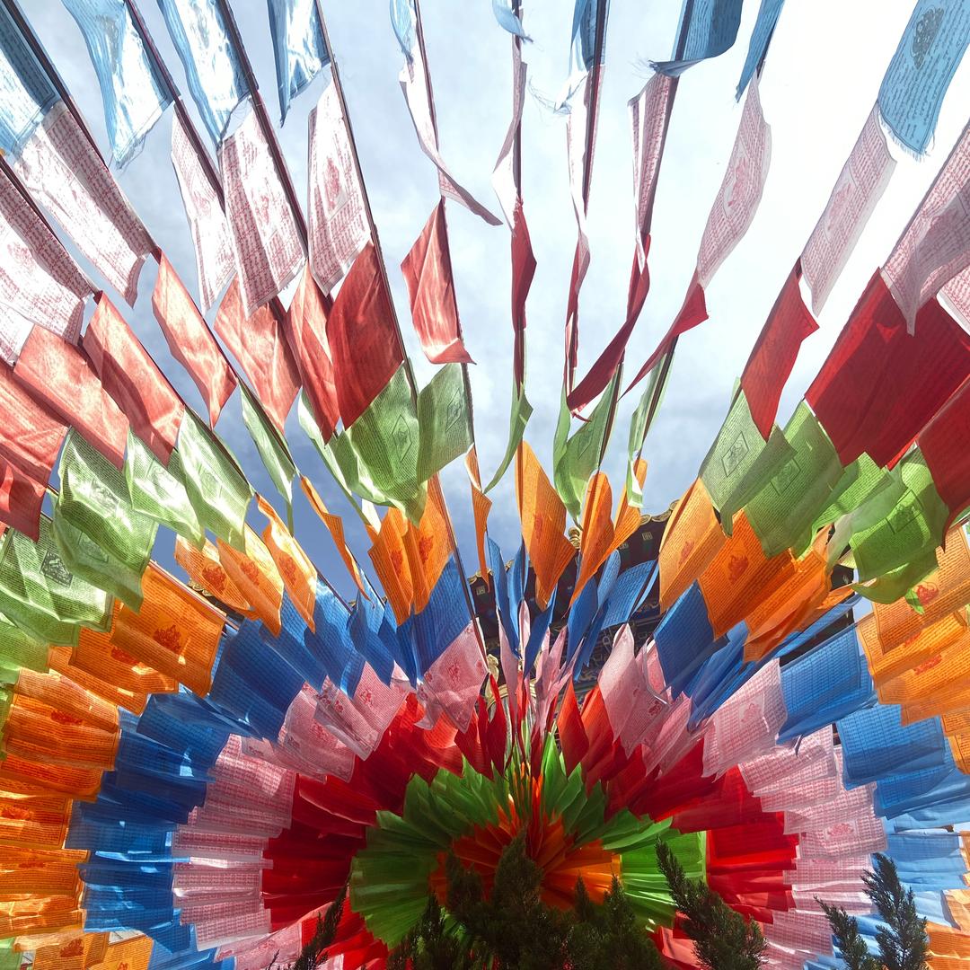 小新租赁(出租大疆p3版)