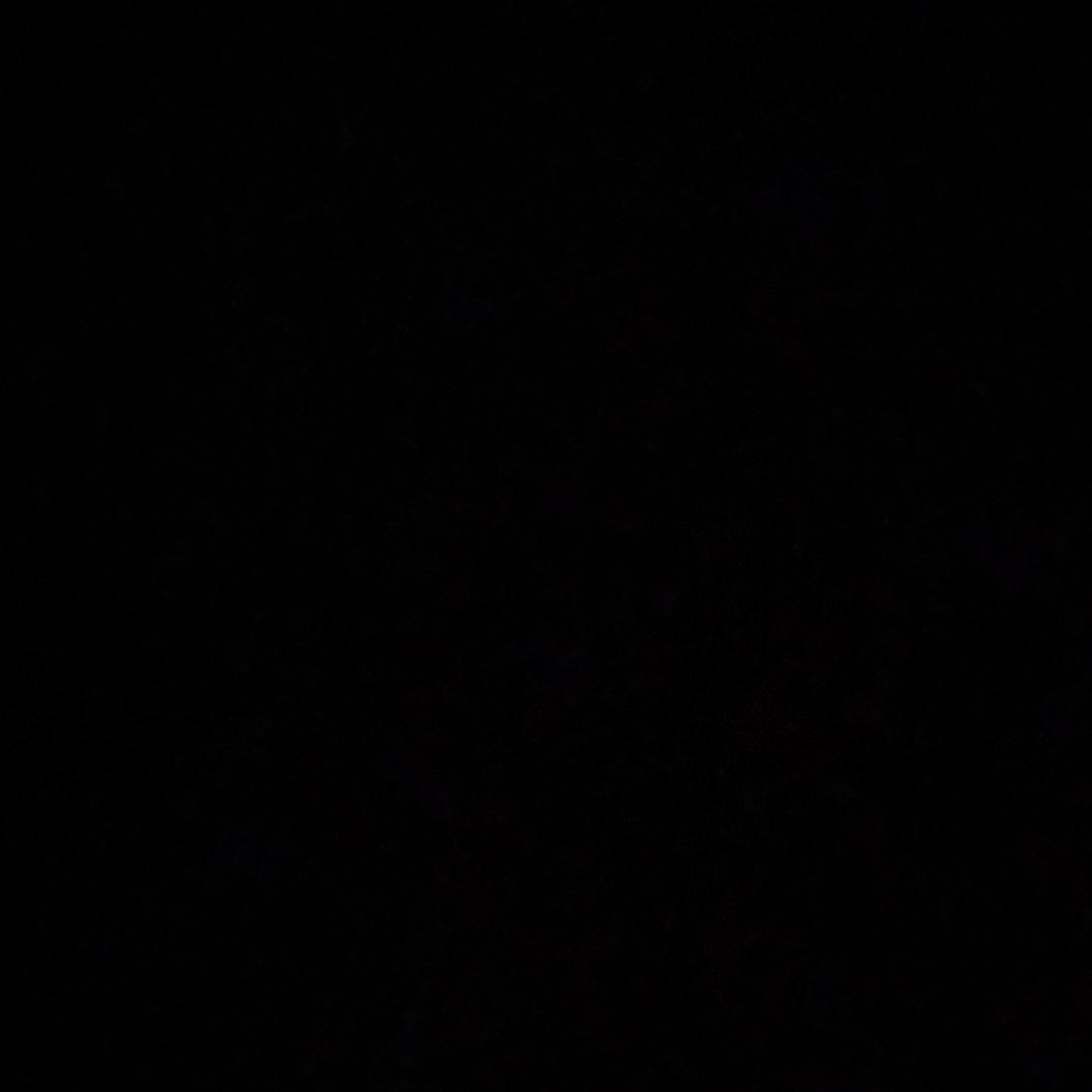 维尼熊丶（三角洲行动）