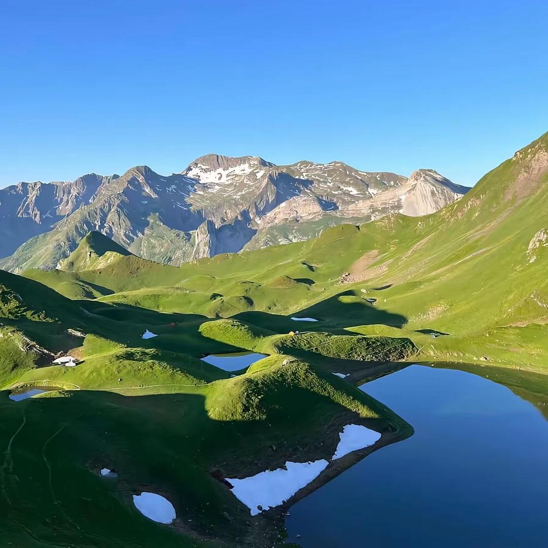 拿方案（回关）