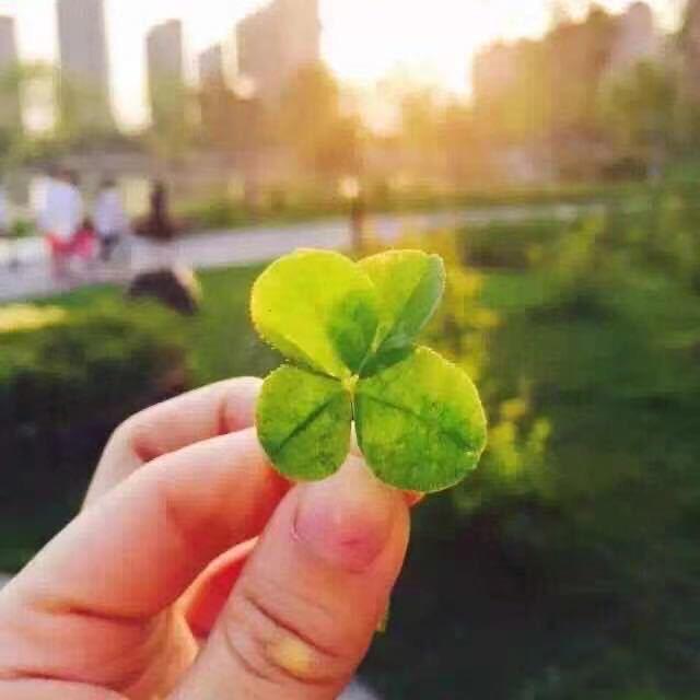 ^沐璃ღ.