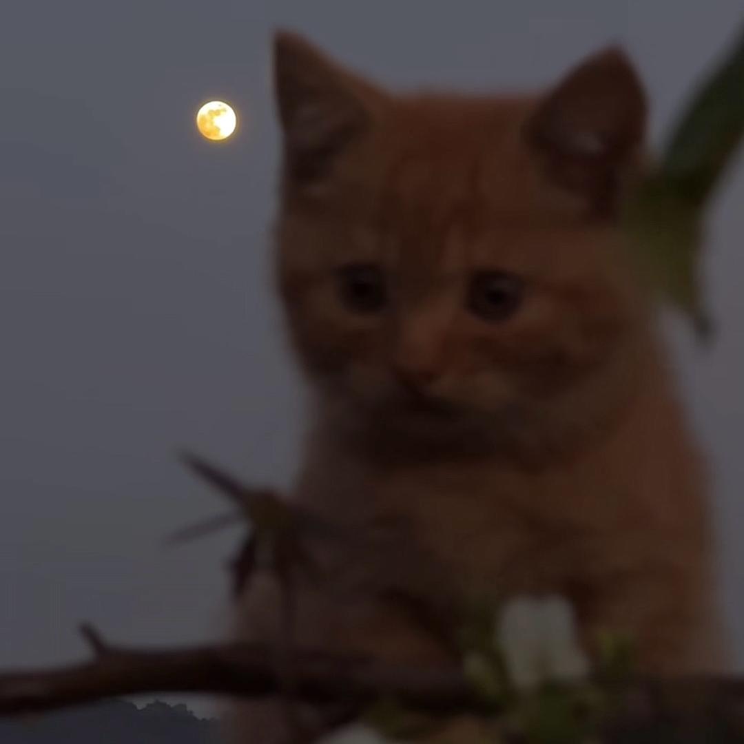我是高手
