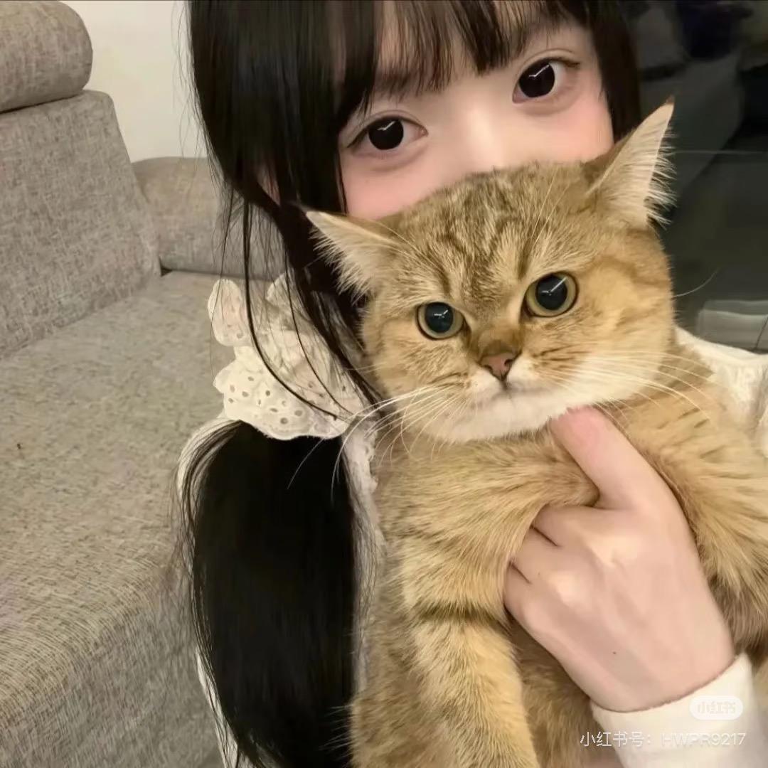Jasmine茉莉