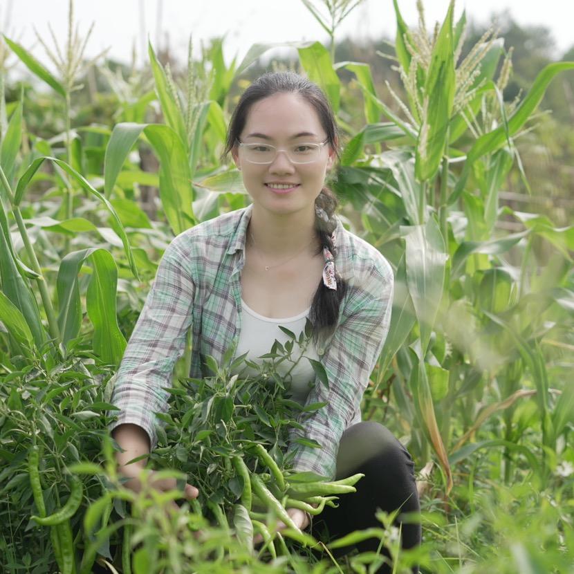 玲妹妹
