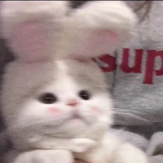 于长梅