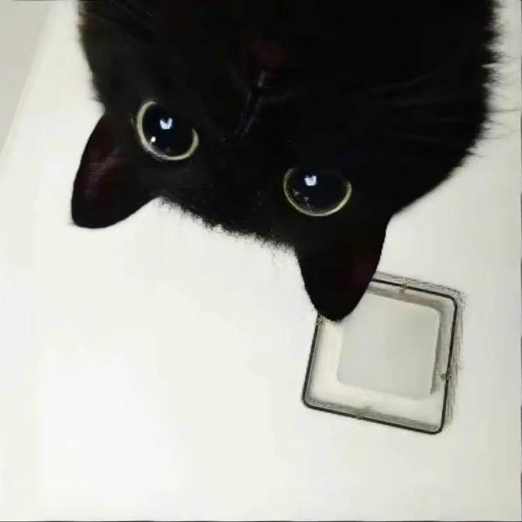 ¥.