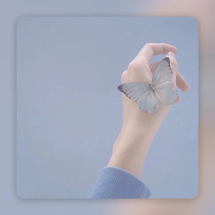 ✨一米阳光☀️