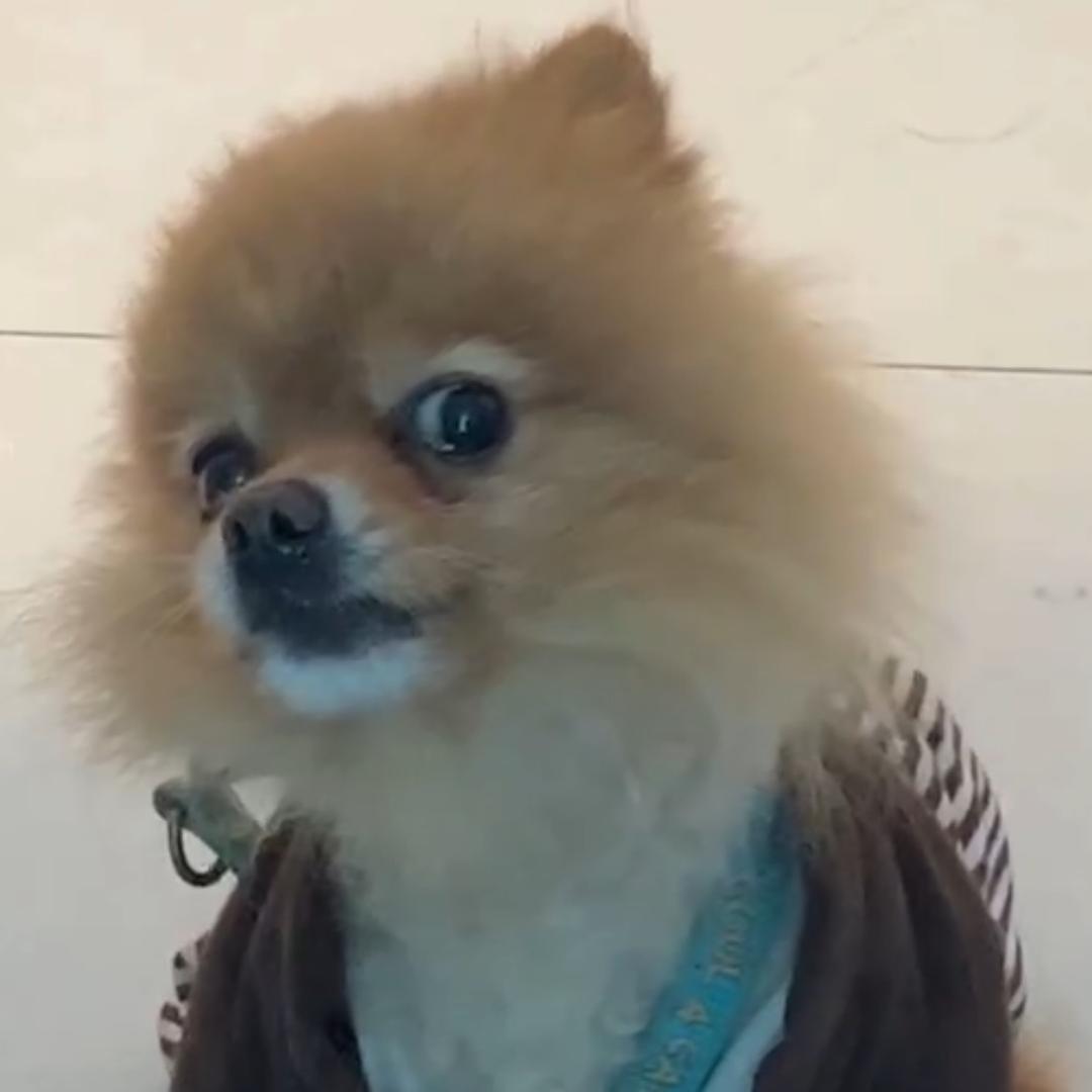 街溜子xy