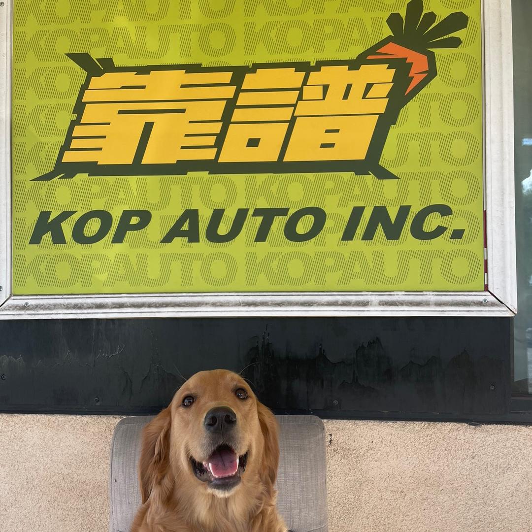 兆兆 | KOP🚘🥕