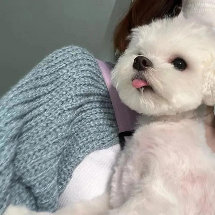 嘟嘟🤍