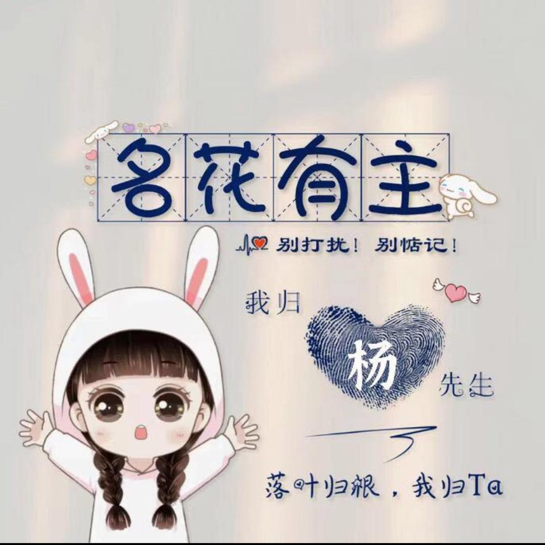 🎆懂