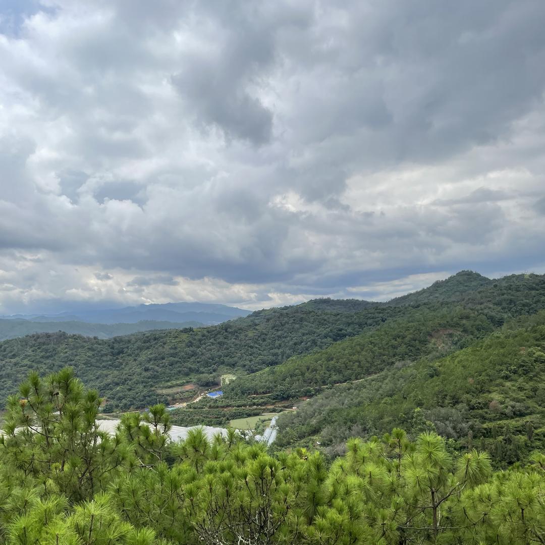 彩云助农-现收云南山货