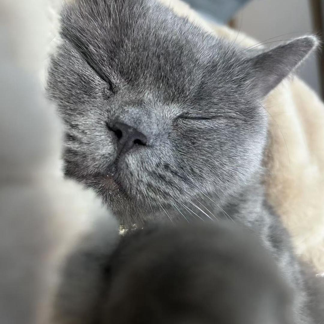 hy