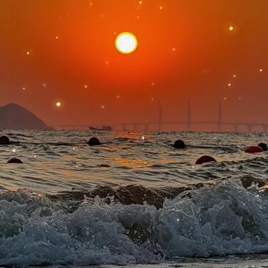 带刺的玫瑰🌹🎼🎼🎼🎼
