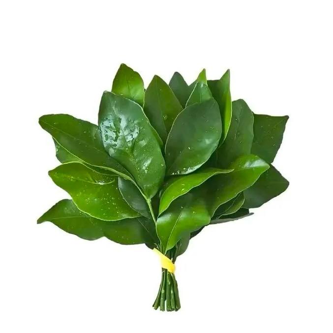 海苔小文