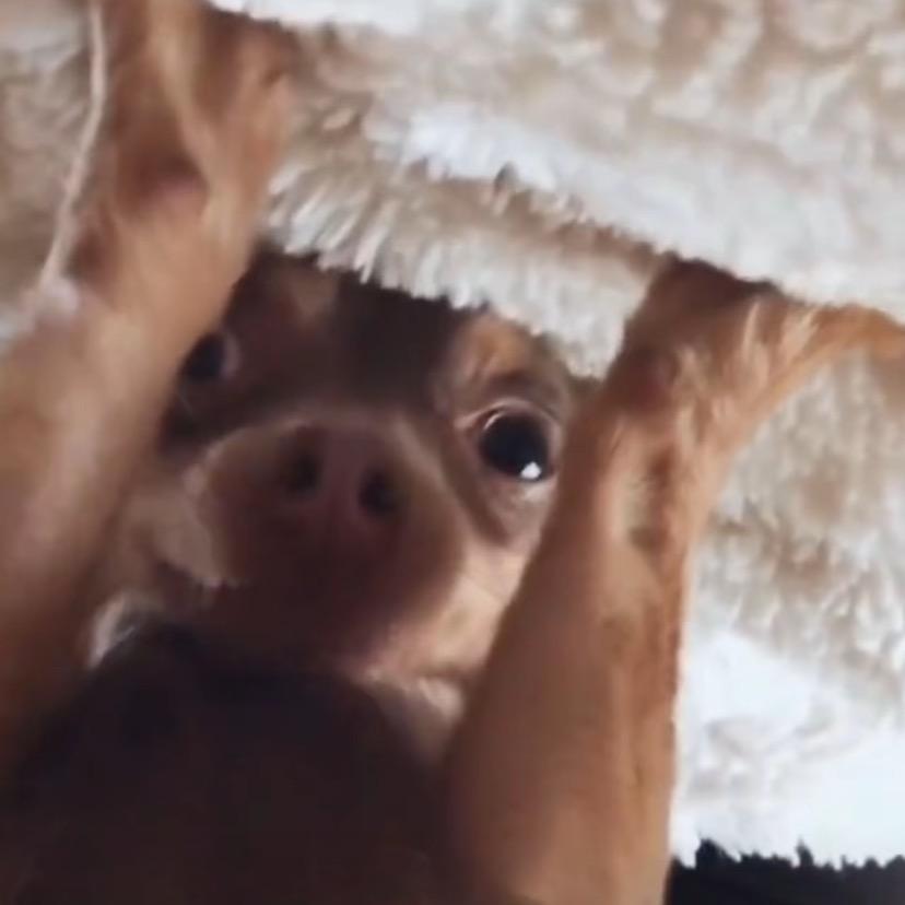 我睡觉的时候不困