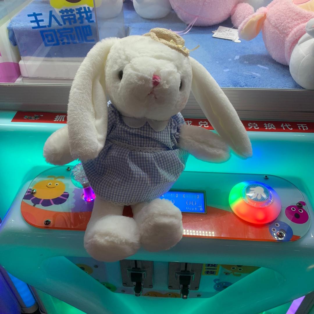 枫无止境