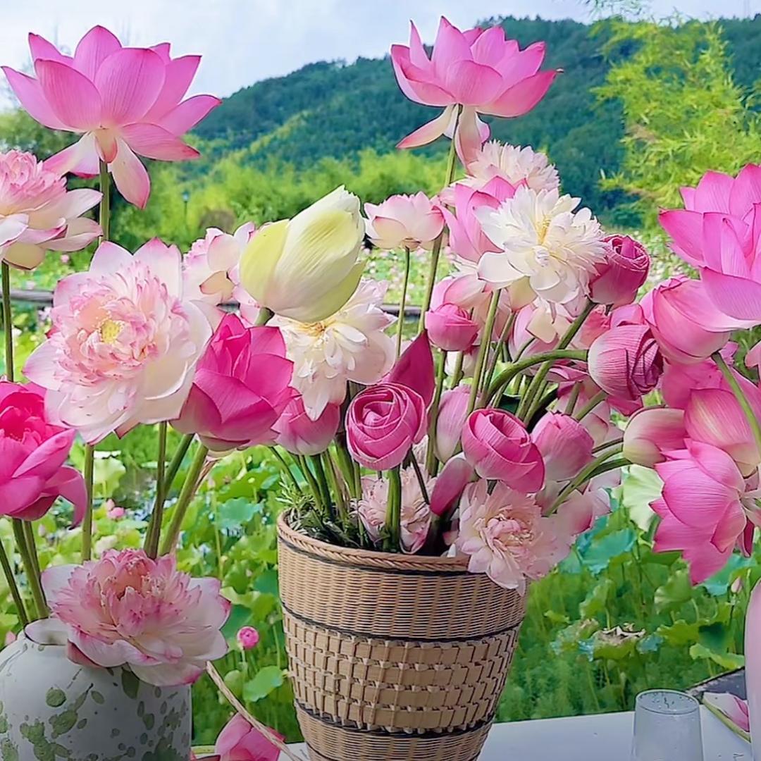 🌈 半夏🌿微凉 🌈