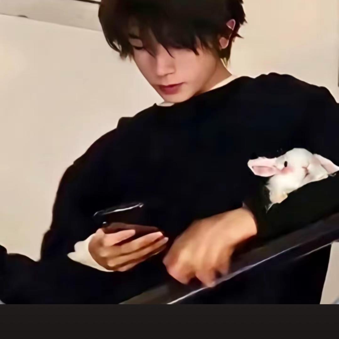 兔兔懒