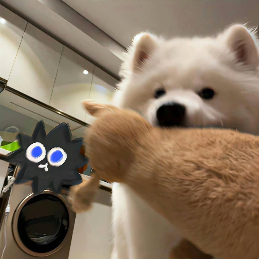Æ