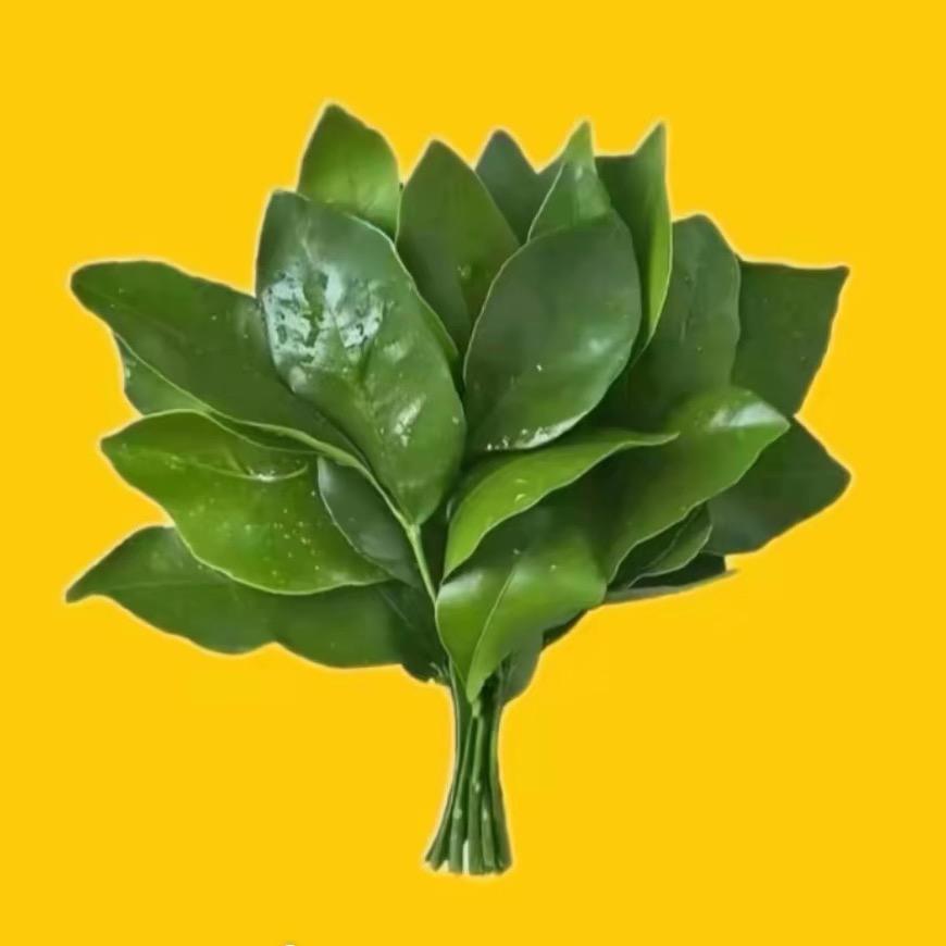 听天使在唱歌