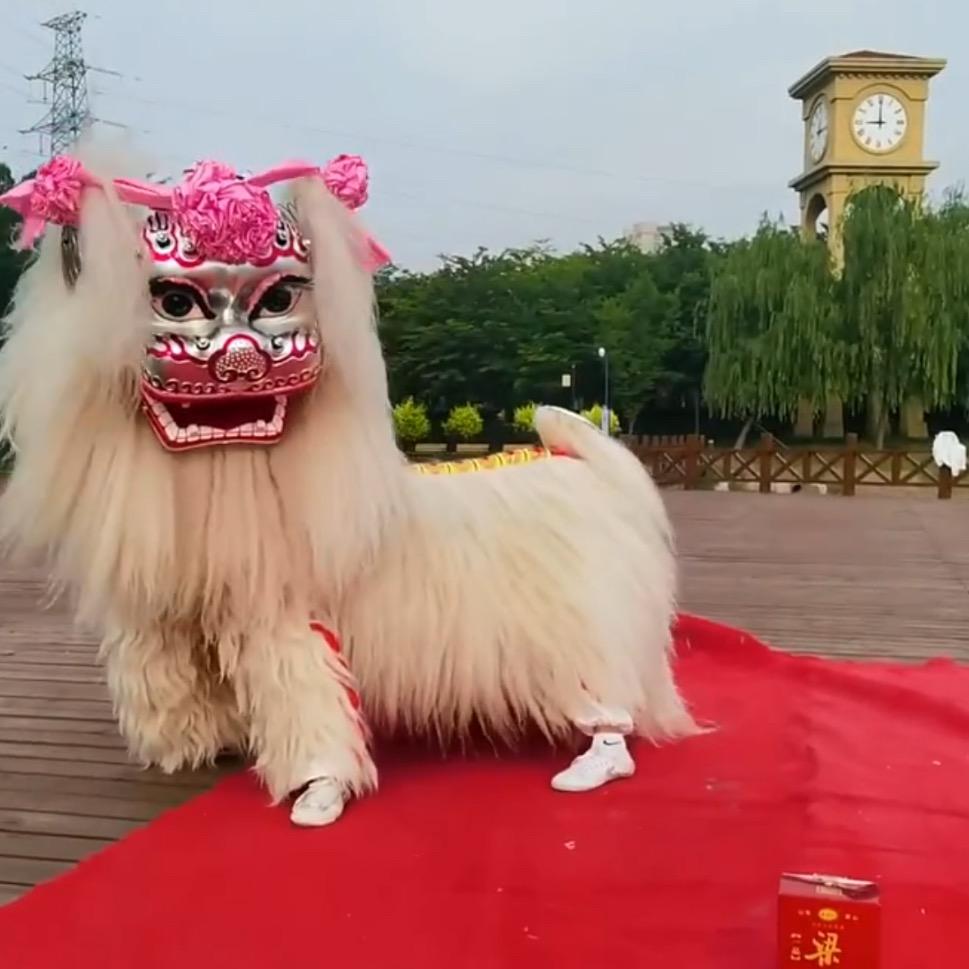 梁山精美小白狮（醉酒）